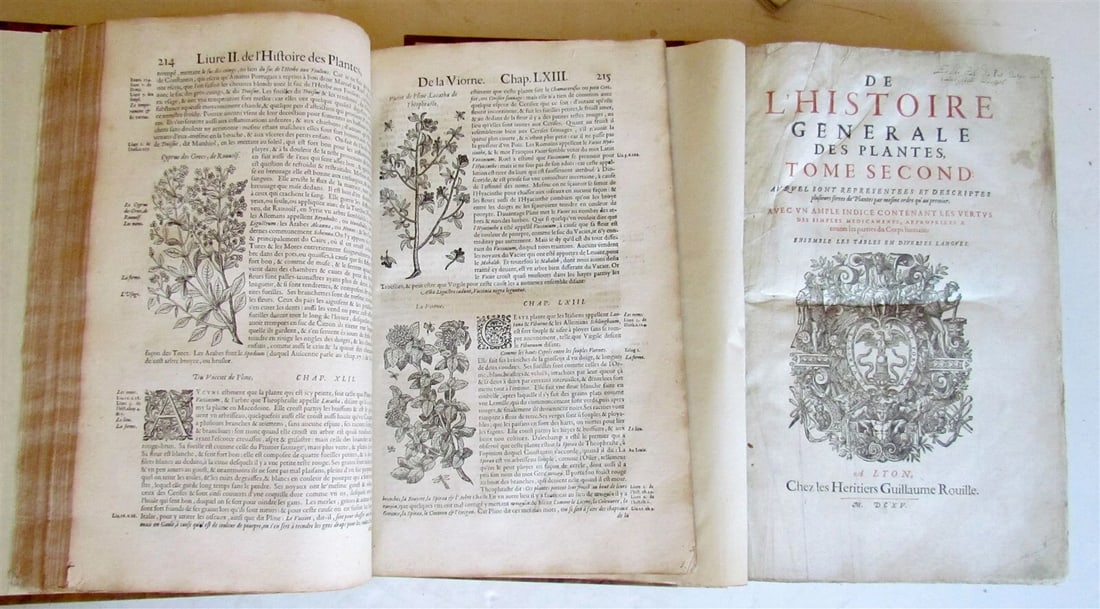 1615 HISTORY of PLANTS by Jacques DALECHAMPS ILLUSTRATED 2 FOLIO VOLUMES antique: HISTOIRE GÉNÉRALE DES PLANTES, CONTENANT XVIII. LIVRES ÉGALEMENT DEPARTIS EN DEUX TOMES. by DALECHAMPS, Jacques Lyon, Heirs of Guillaume Rouille ; 1615. 2 volumes Massive folios: 9.5 by