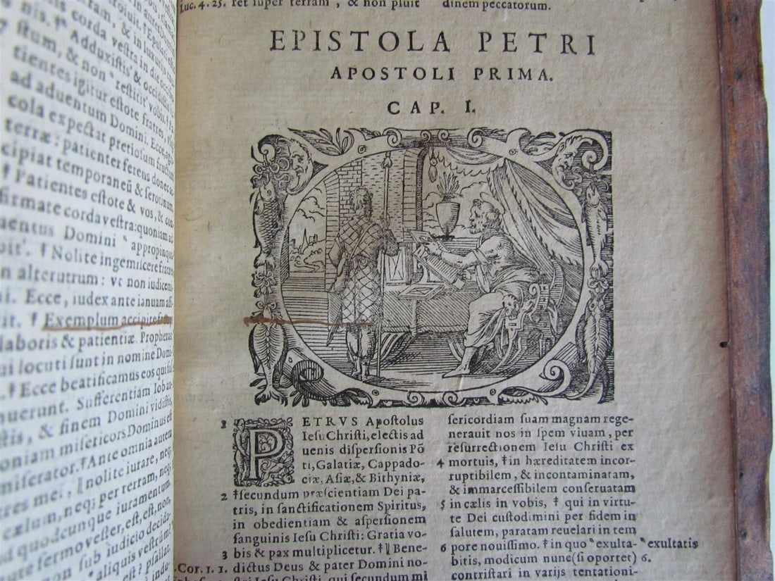 1585 BIBLE ILLUSTRATED Jost Amman & Virgil Solis BIBLIA SACRA antique PIGSKIN - 12