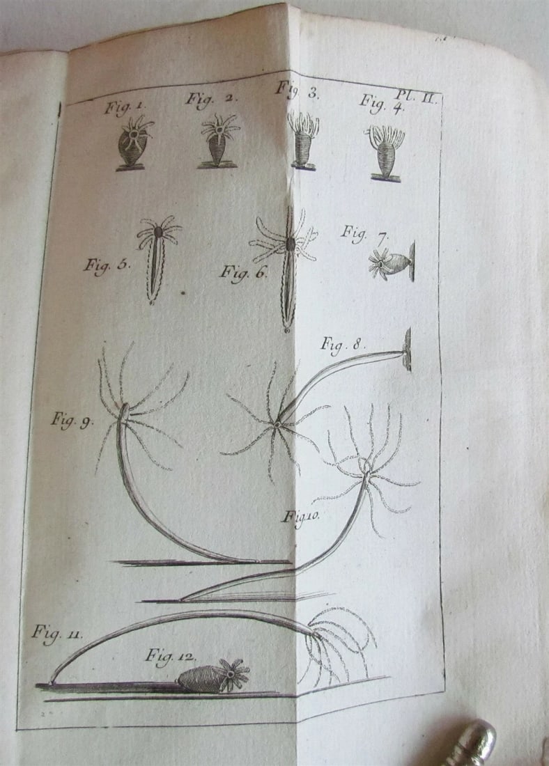 1744 NATURAL HISTORY of the POLYPES ILLUSTRATED w/ 22 engraved plates ANTIQUE - 4