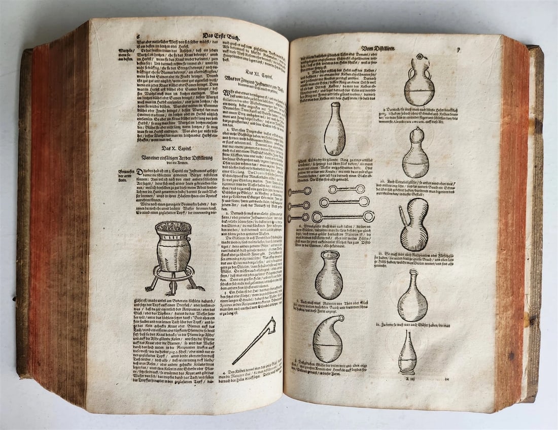 1665 OECONOMIA ILLUSTRATED antique hunting fishing livestock breeding PIGSKIN - 18