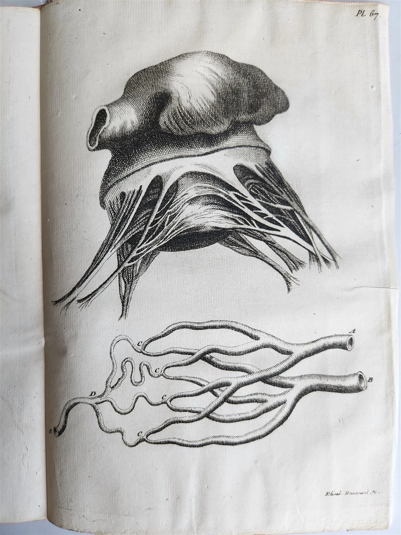 1750 MEDICAL TREATISE ILLUSTRATED ANATOMY by Francois PLANQUE antique V. 3 - 18