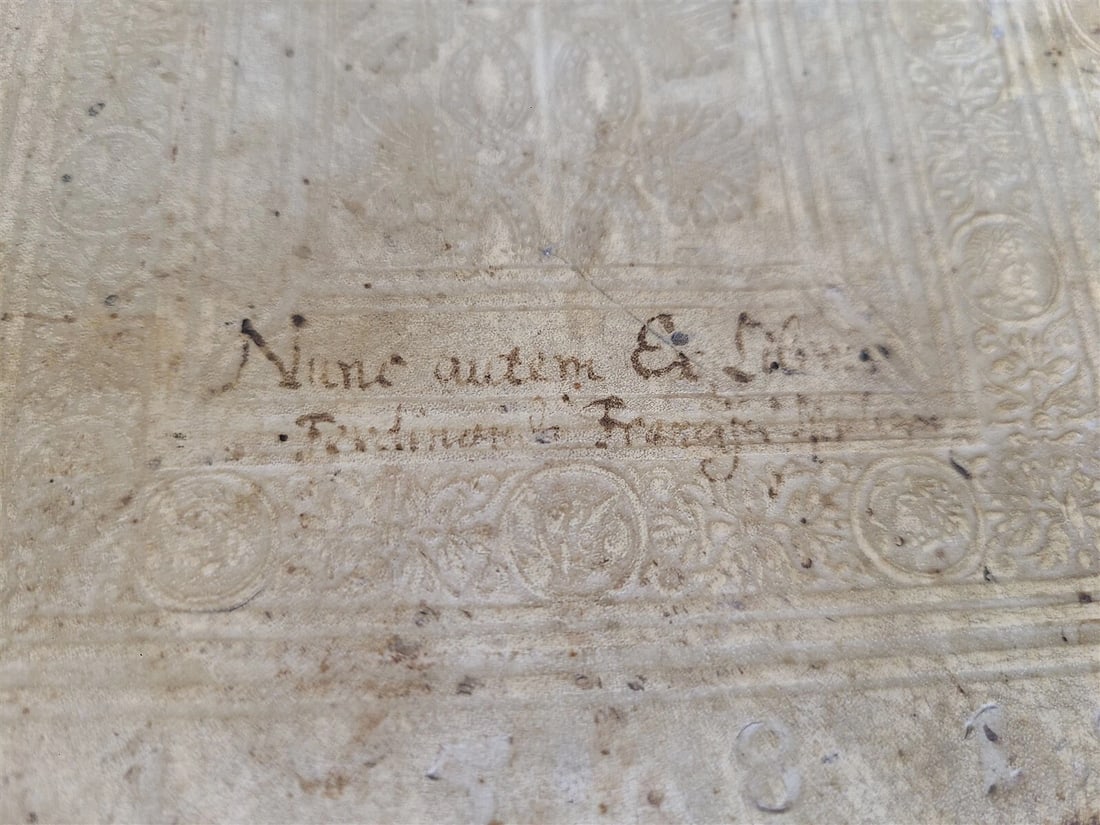 1580 ILLUSTRATED by Tobias Stimmer & J. Amman FOLIO antique HUNTING FALCONRY - 11