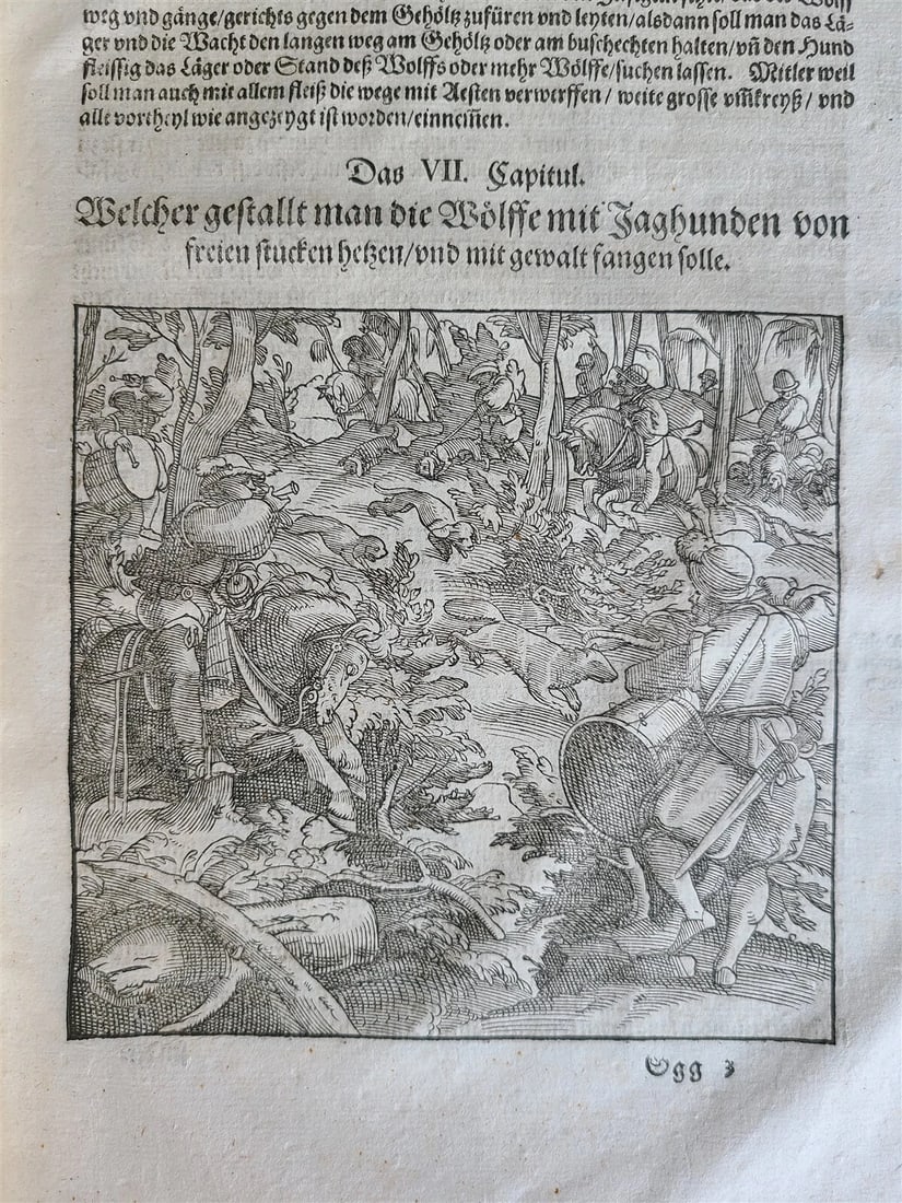 1580 ILLUSTRATED by Tobias Stimmer & J. Amman FOLIO antique HUNTING FALCONRY - 13