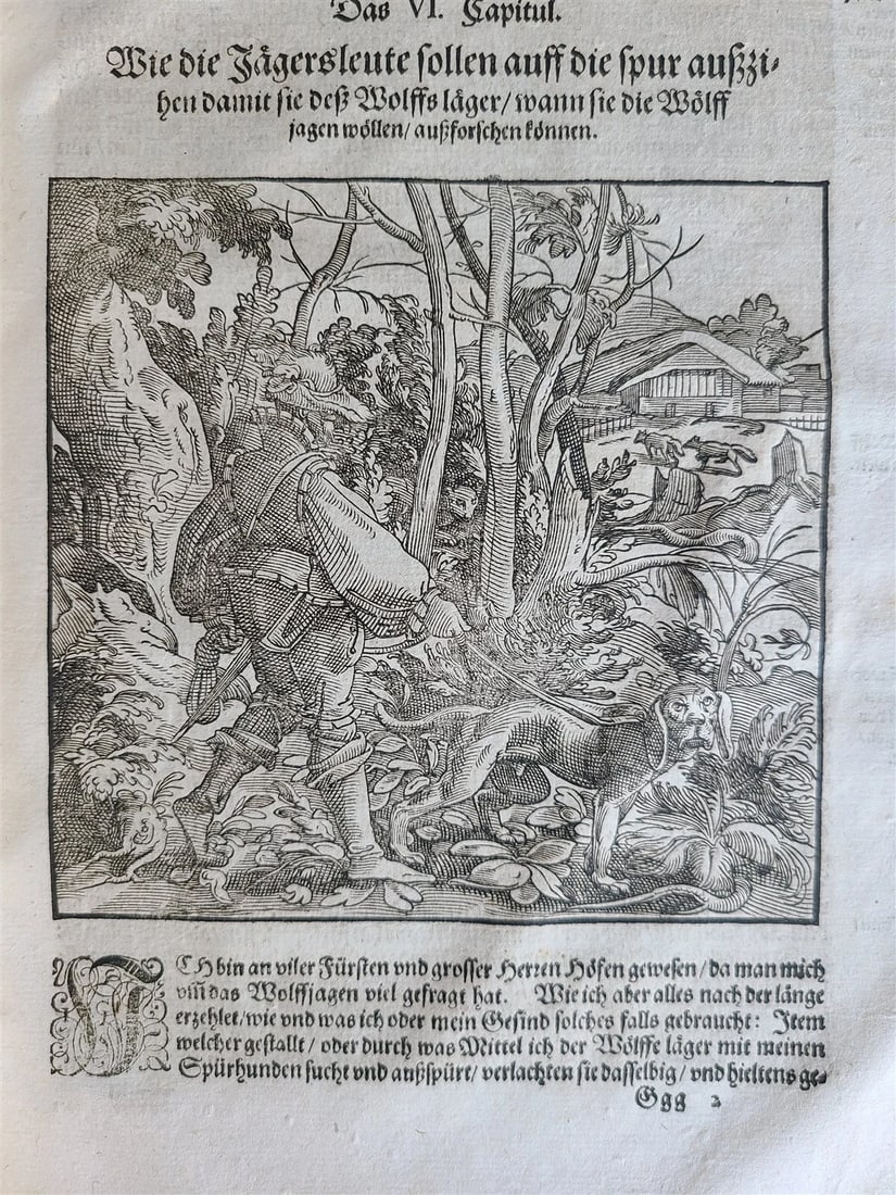 1580 ILLUSTRATED by Tobias Stimmer & J. Amman FOLIO antique HUNTING FALCONRY - 14