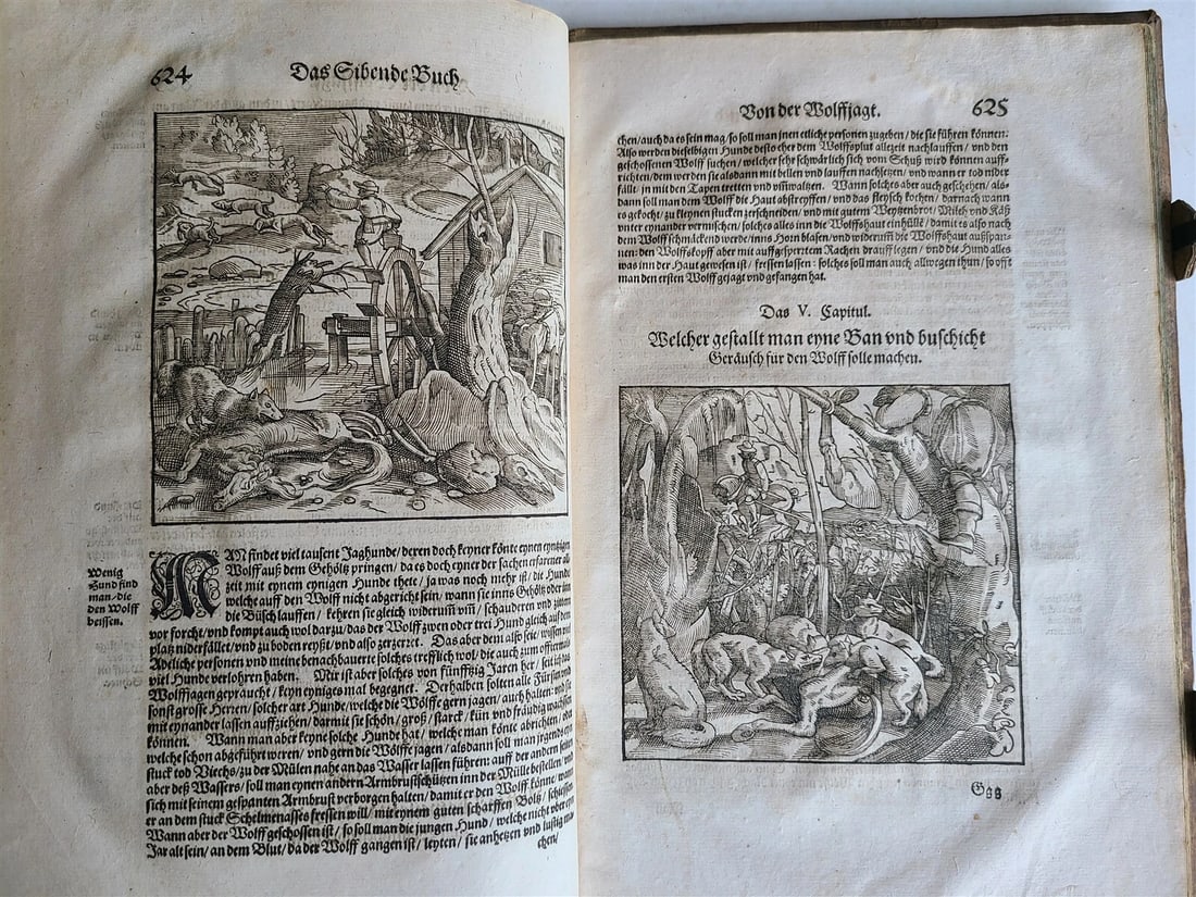 1580 ILLUSTRATED by Tobias Stimmer & J. Amman FOLIO antique HUNTING FALCONRY - 15