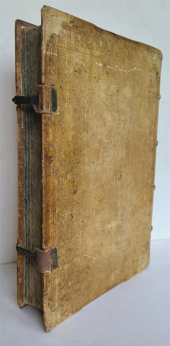 1580 ILLUSTRATED by Tobias Stimmer & J. Amman FOLIO antique HUNTING FALCONRY - 9