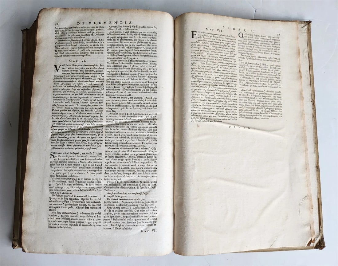 1667 JOHN CALVIN THEOLOGY & SENECA COMMENTARIES antique VELLUM BOUND FOLIO - 10