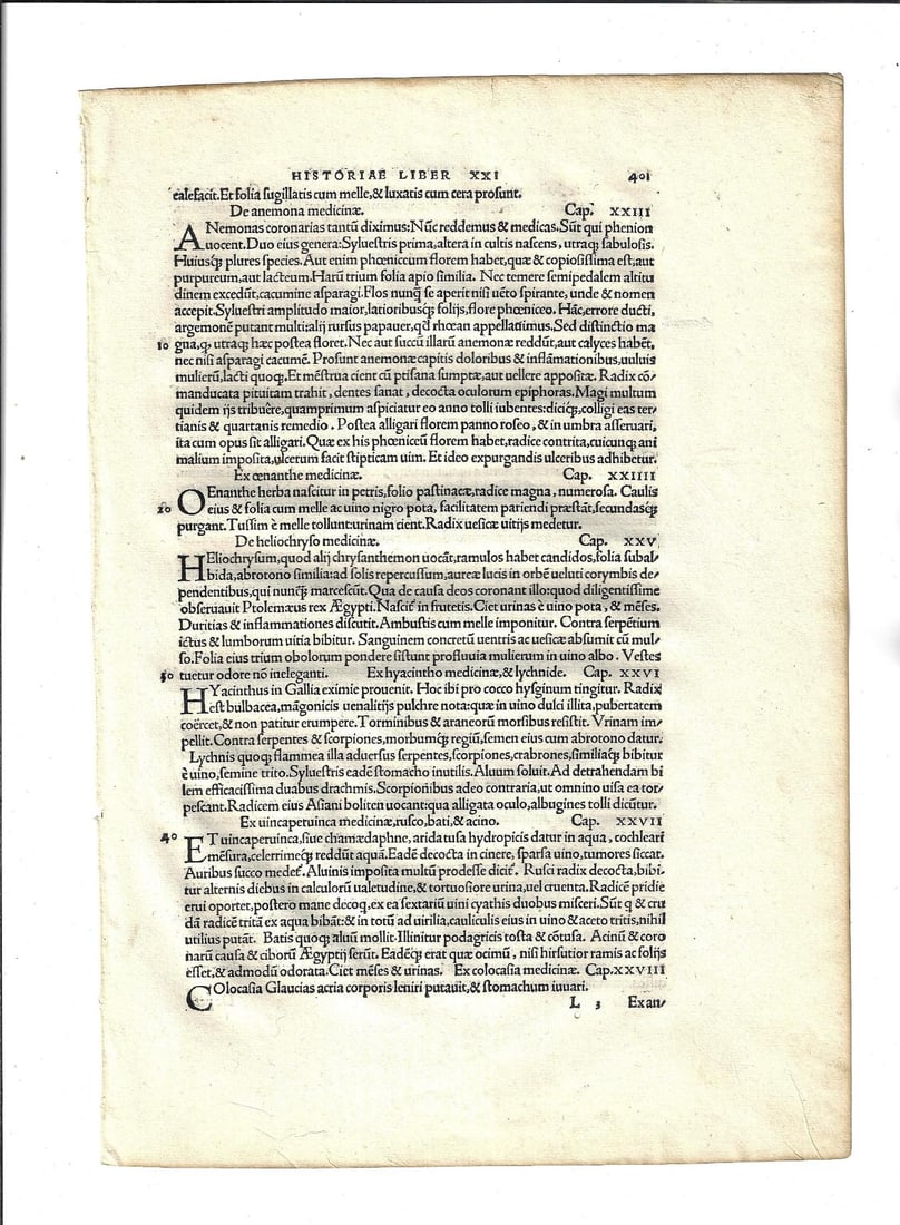 1525 Leaf Pliny Natural History Froben Printing: A leaf from "Historia mundi, multo quam antehac unquam prodiit emaculatius…", by Pliny the Elder. Printed at Basle by Johann Froben in 1525. A beautiful printed folio, number 401. In Fine