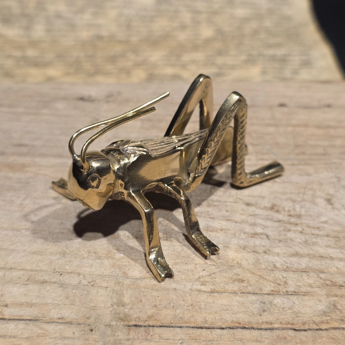 3" Brass Fireplace Good Luck Hearth Cricket - 8