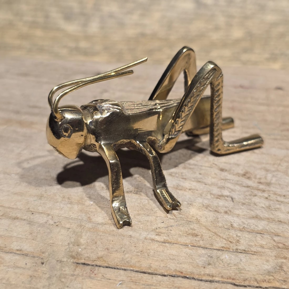 3" Brass Fireplace Good Luck Hearth Cricket - 9