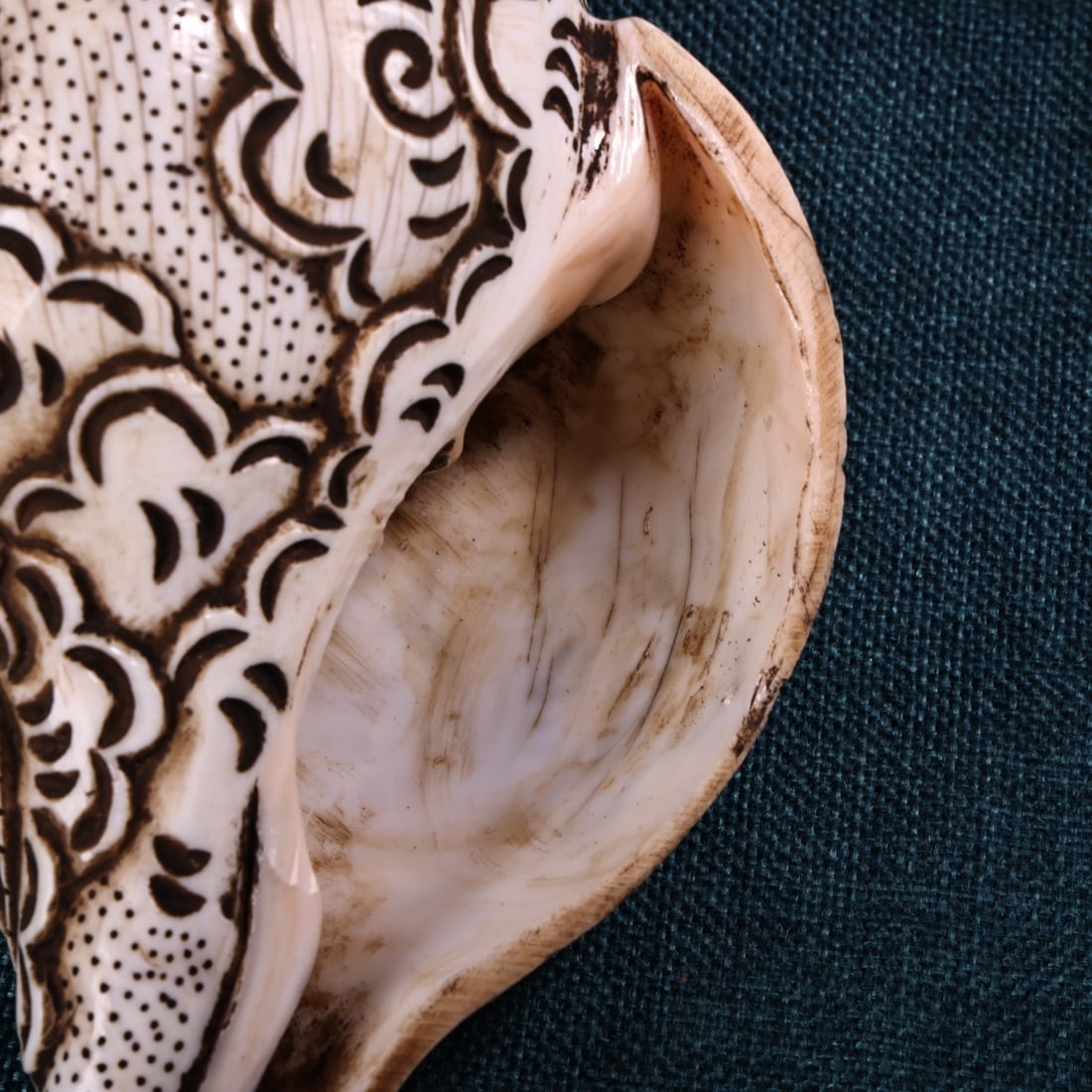 Old Tibetan Prayer Tool Conch - 6