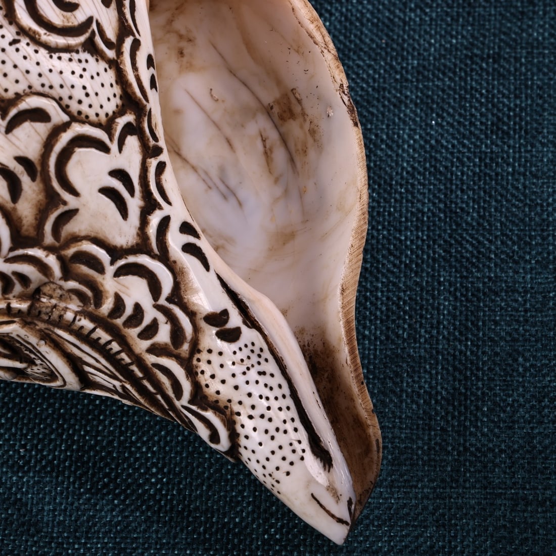Old Tibetan Prayer Tool Conch - 7