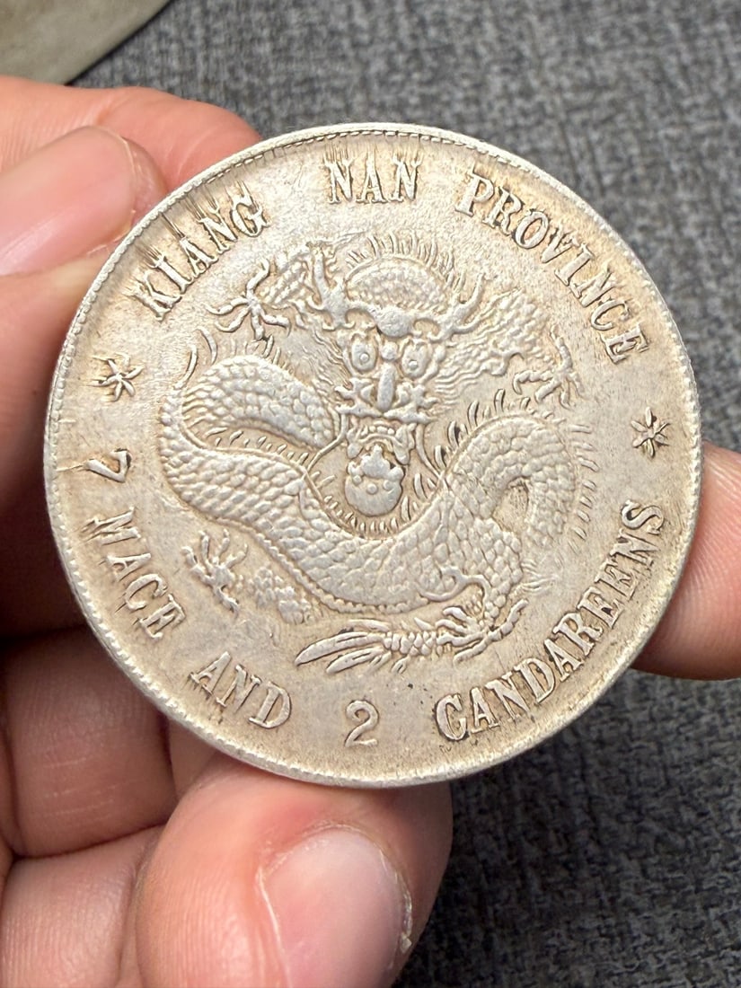 Pure Silver Coin - 3