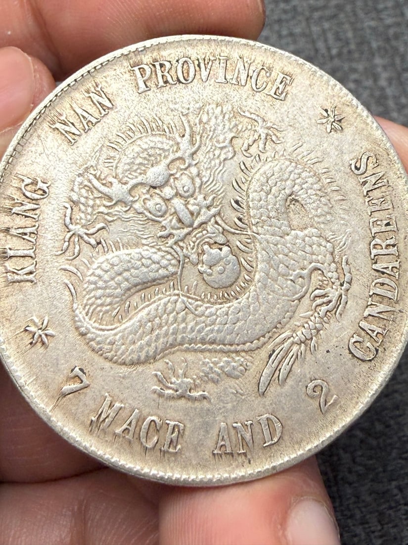 Pure Silver Coin - 4