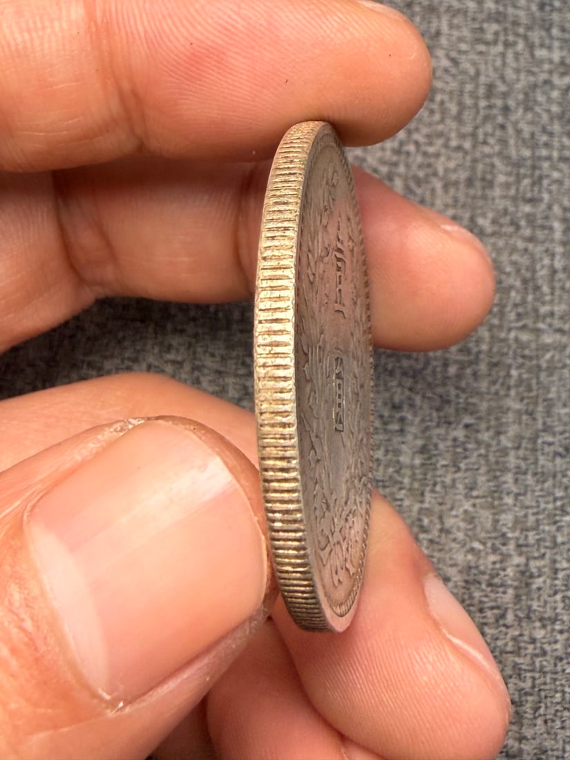 Pure Silver Coin - 5