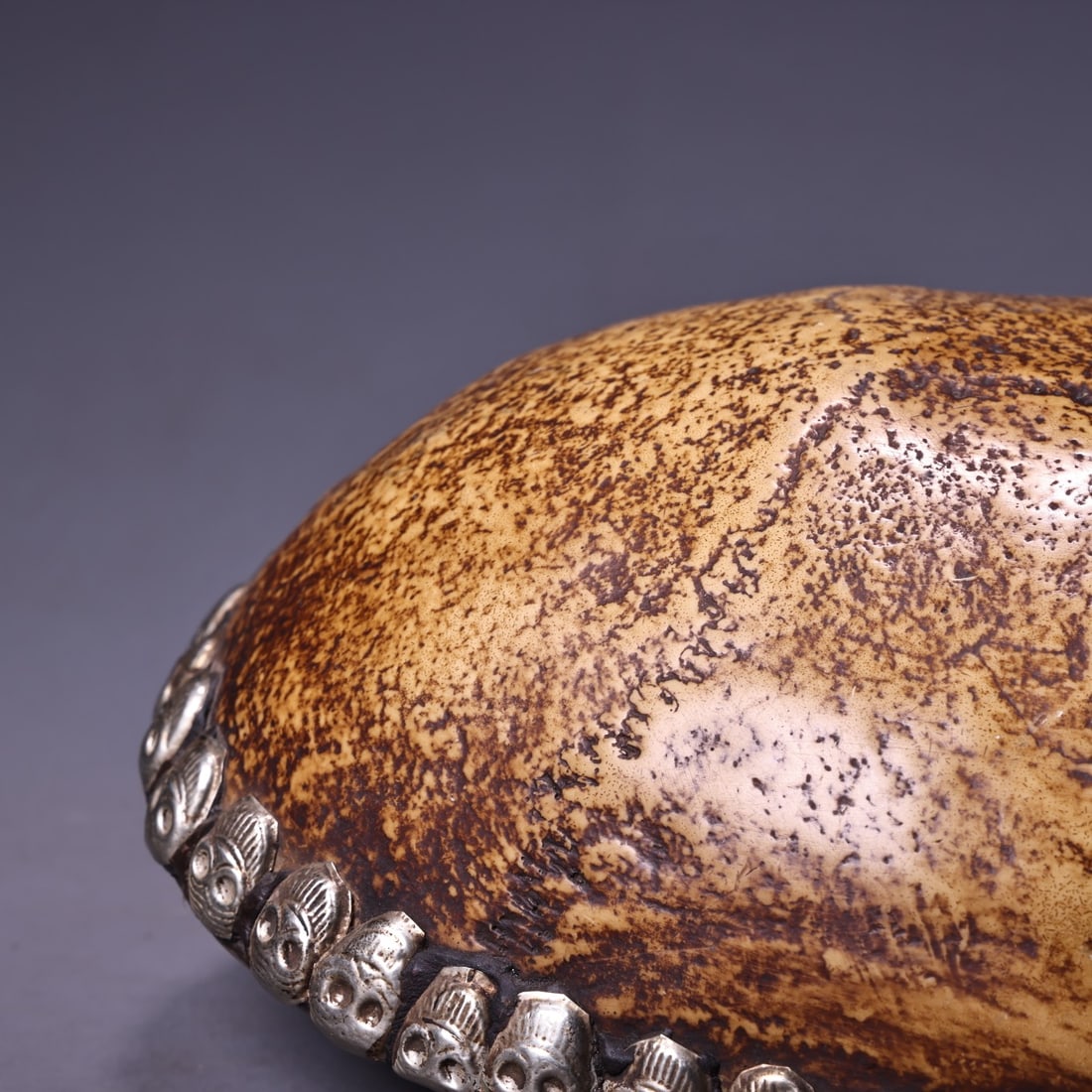 Tibetan Buddhism Pure Silver & Gabbra Bone Bowl - 9