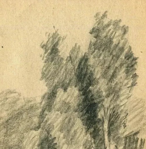 1951 Trees, Forest Drawing Vintage Pencil Orginal signed Artwork - 3