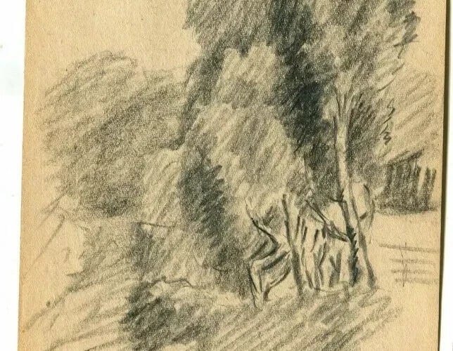 1951 Trees, Forest Drawing Vintage Pencil Orginal signed Artwork - 5