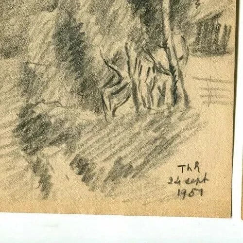 1951 Trees, Forest Drawing Vintage Pencil Orginal signed Artwork - 7