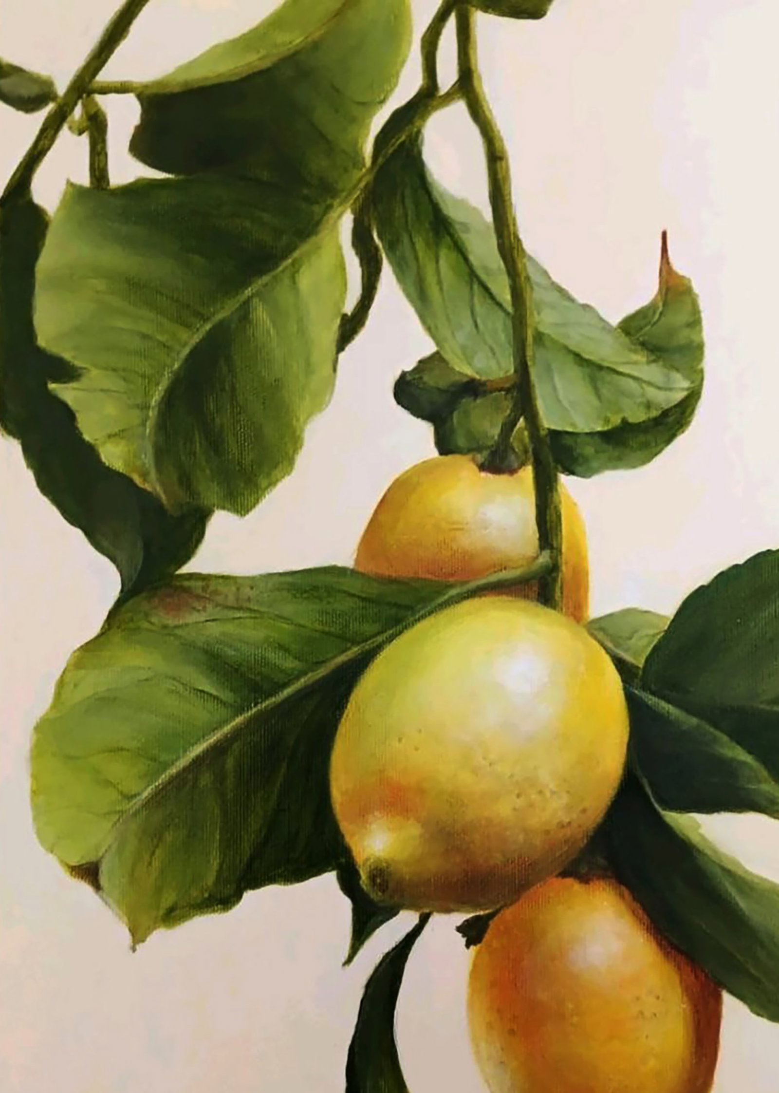 Acrylic painting Lemon Branch Marusya Abashidze - 3