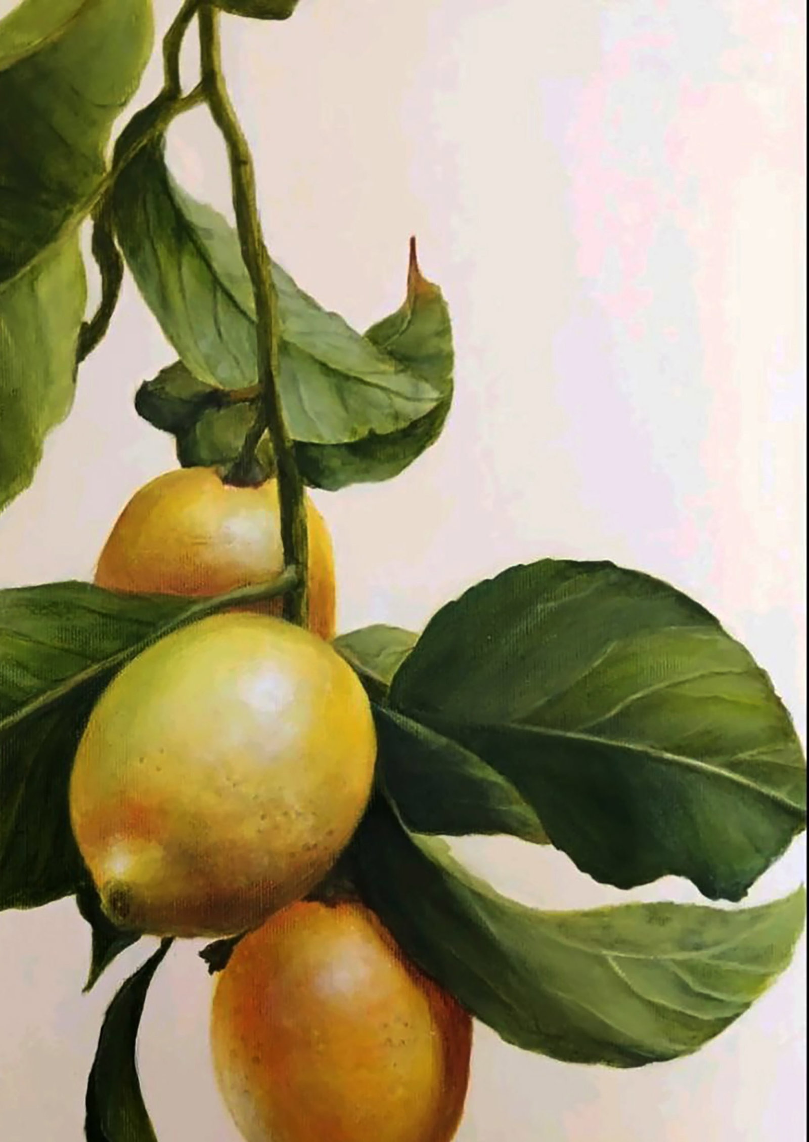 Acrylic painting Lemon Branch Marusya Abashidze - 4