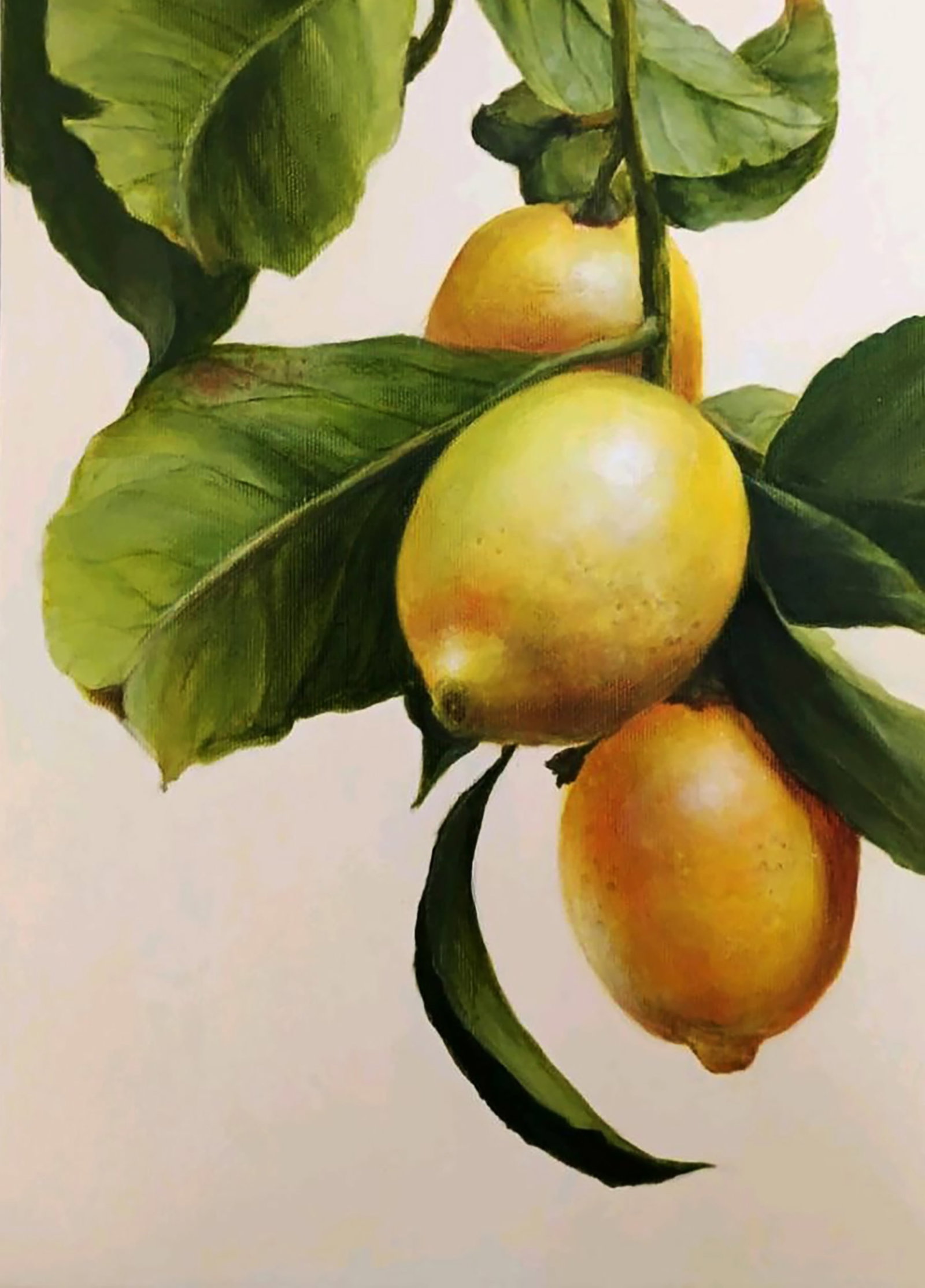 Acrylic painting Lemon Branch Marusya Abashidze - 5