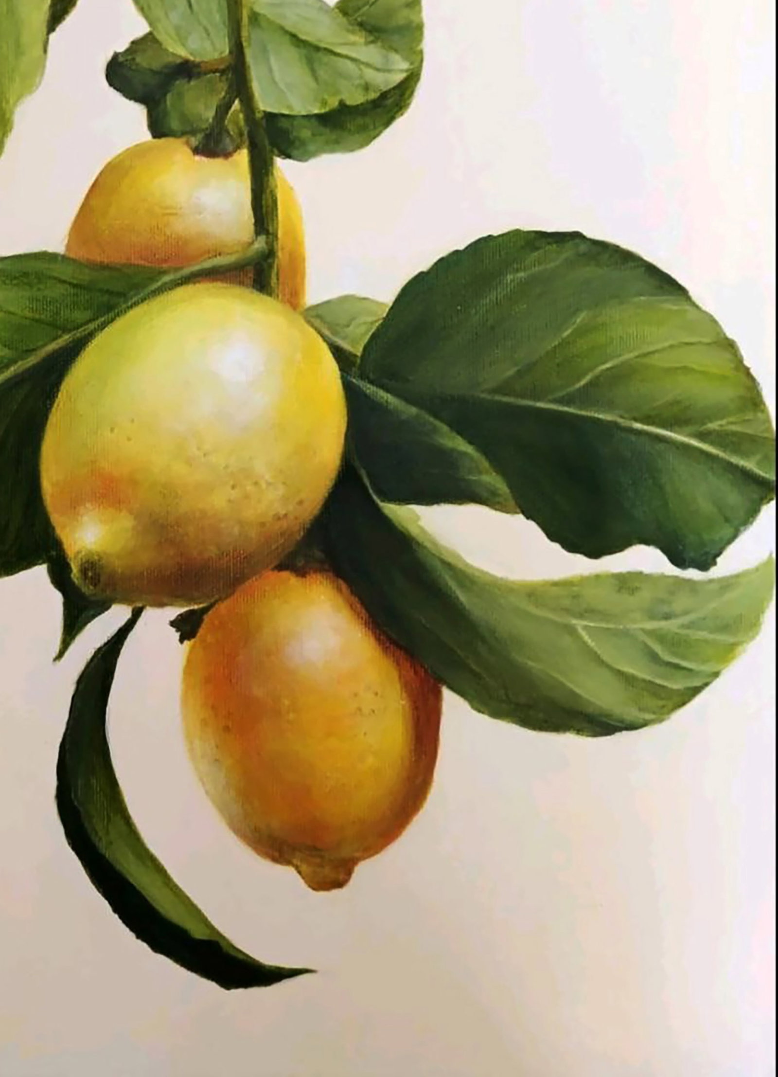 Acrylic painting Lemon Branch Marusya Abashidze - 6