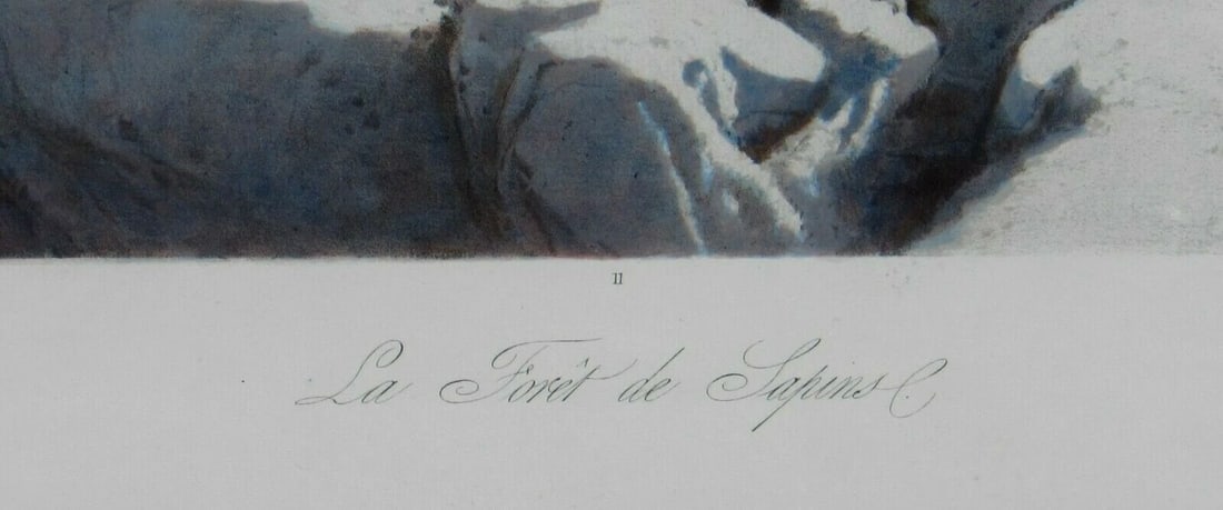 Francois Ferogio French Color Lithograph The Forest of Pine Trees Aarnun Gallery - 7