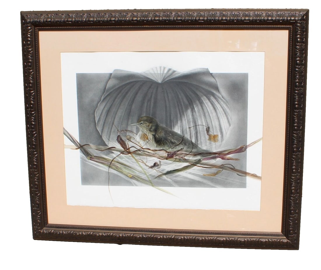 DIANNE MARTIN New York Artist Nest with Bird in a Scallop Shell w/c graphite: Title:DIANNE MARTIN New York Artist Nest with Bird in a Scallop Shell w/c graphite Description:DIANNE MARTIN. New York Artist. Nest with Bird in a Scallop Shell, 1997, 17" x 24" approximate image