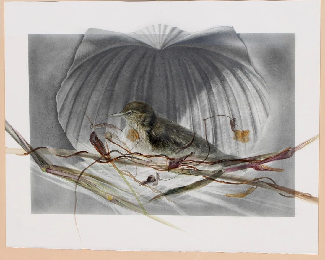 DIANNE MARTIN New York Artist Nest with Bird in a Scallop Shell w/c graphite - 3