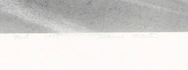 DIANNE MARTIN New York Artist Nest with Bird in a Scallop Shell w/c graphite - 4