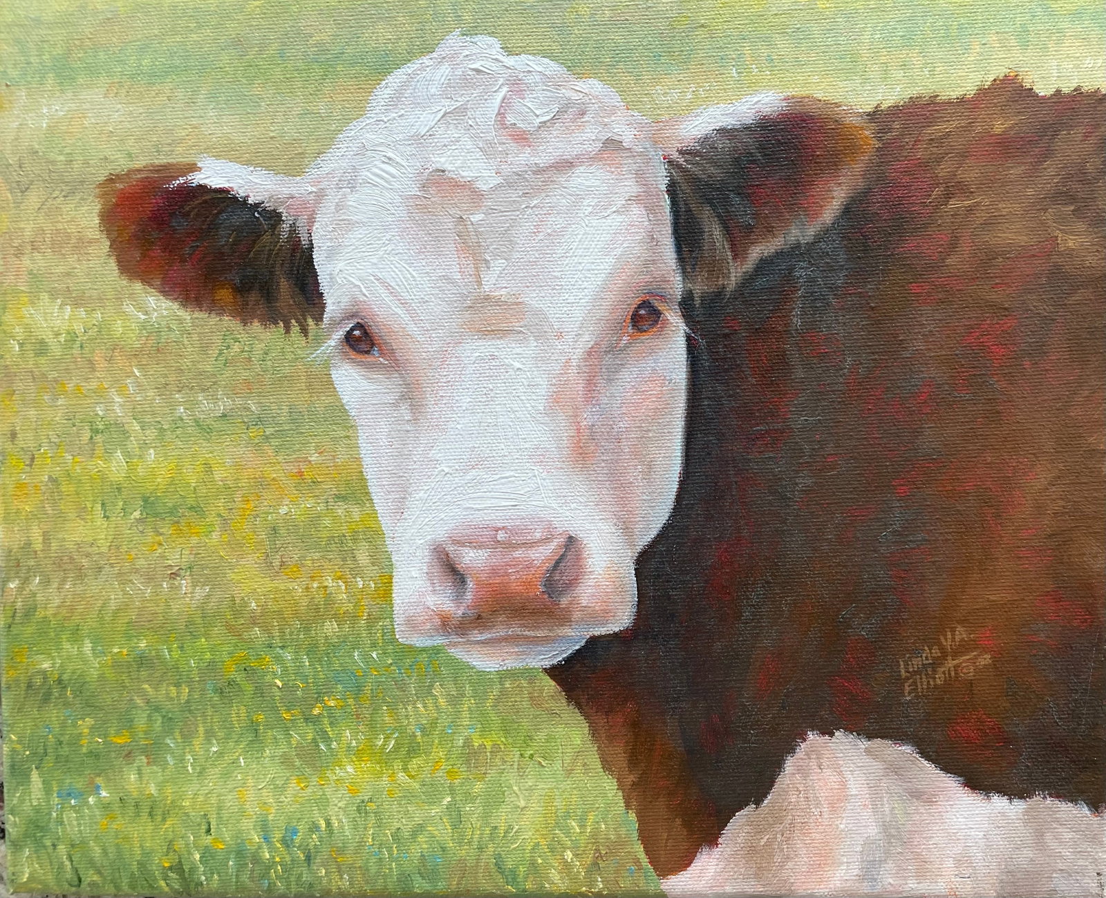 Untitled (Portrait of a Herford Cow) (1 of 2)