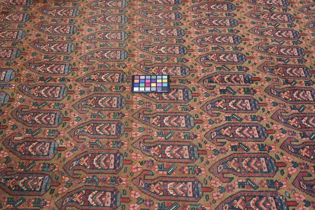 Late 18th Century Antique Bidjar Rug 7'11'' x 10'6'' - 12