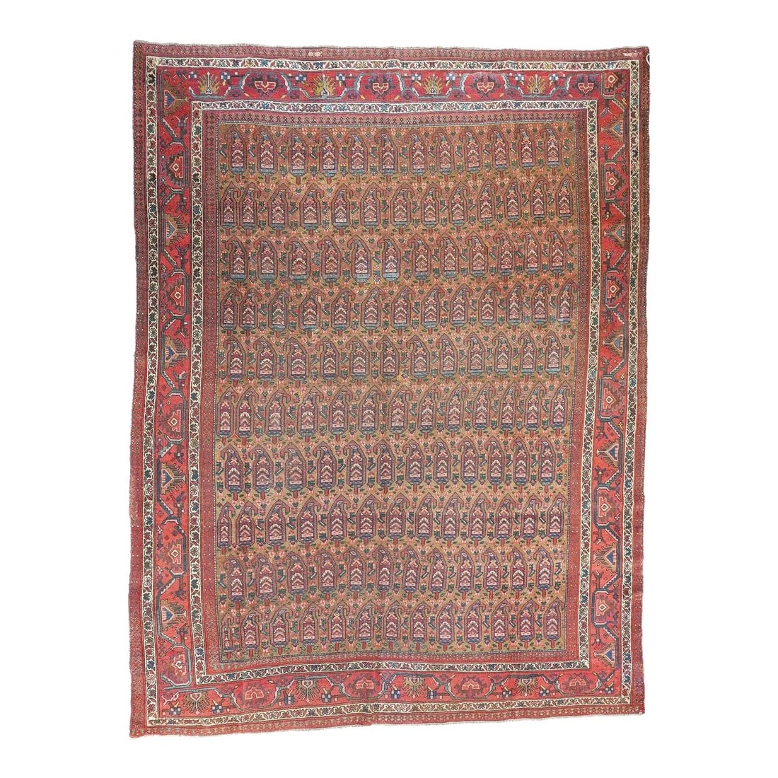 Late 18th Century Antique Bidjar Rug 7'11'' x 10'6'': TheÂ coral tan field shows yen reversing, offset rows of geometric botehs. Red main strip style border with reversing triangular, fringed palmettes in the Malayer manner. En suite, ecru minors wi
