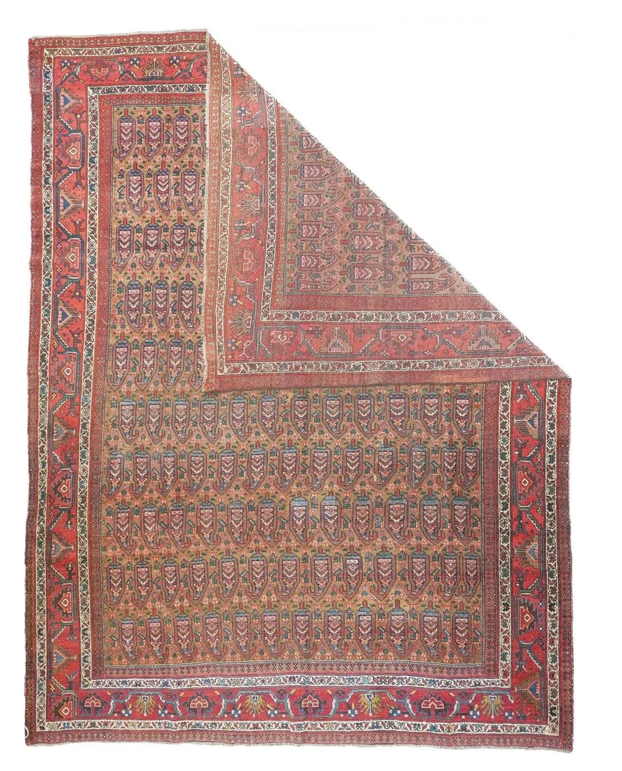 Late 18th Century Antique Bidjar Rug 7'11'' x 10'6'' - 5