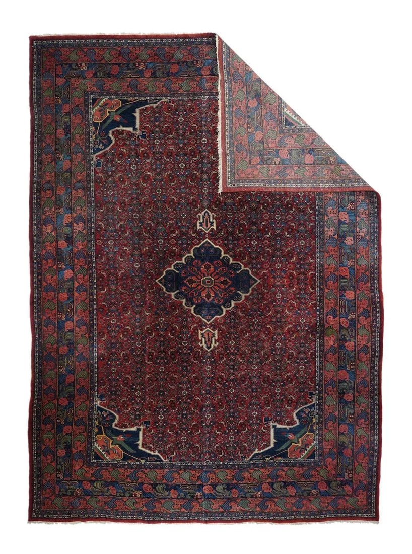 Antique Bidjar Rug 8'10'' x 12'5'' - 4