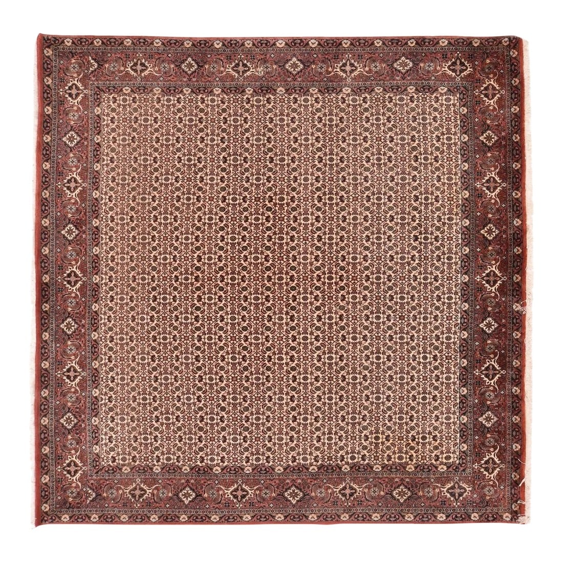 Vintage Brown Bidjar Rug 8'3'' X 8'3'': This modern Kurdish town rug of uncommon format, shows an ecru field very evenly patterned with a formal, small-scale allover Herati design, within a border system including a coral red main stripe