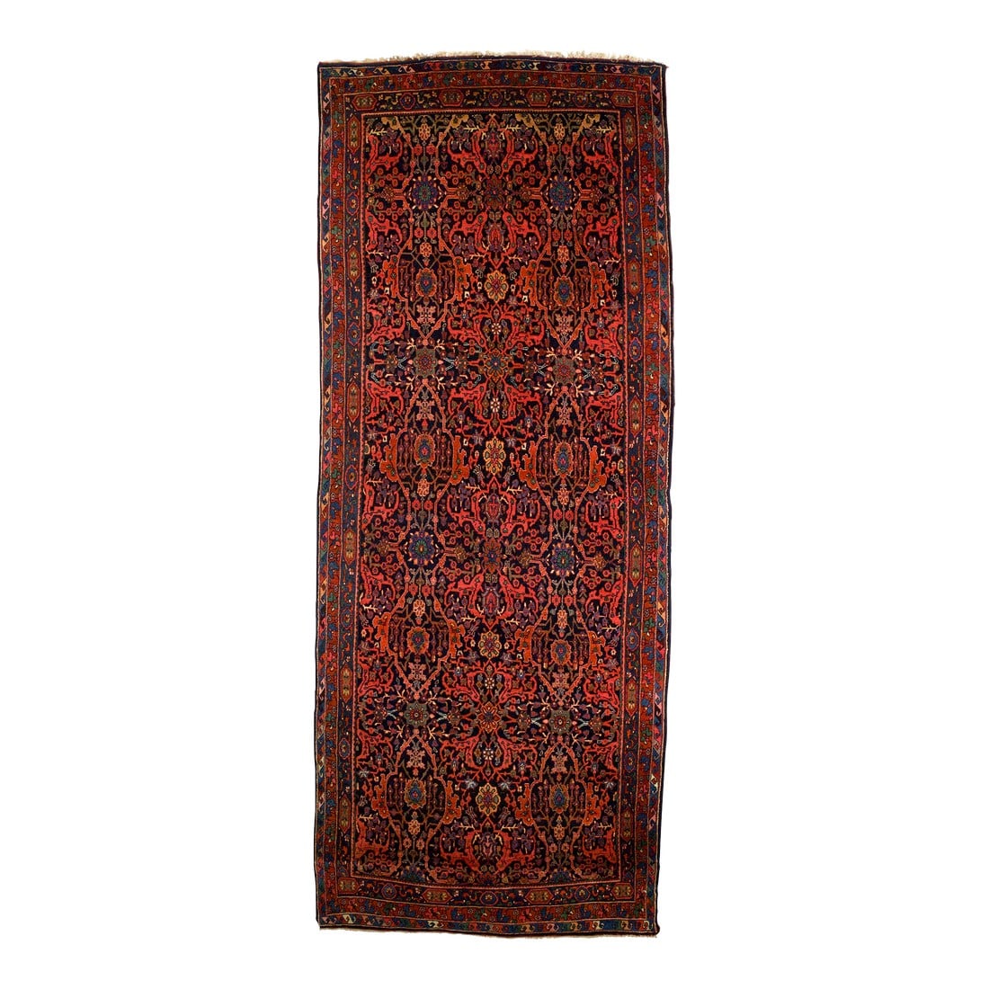 Bidjar Rug 5'4" X 13'7": Bidjar Rug 5'4" x 13'7". The town and surrounding Kurdish carpets of the eponym city, often in room or larger sizes. All wool before 1920, cotton warp afterward. Medallion and allover patterns. Heavy