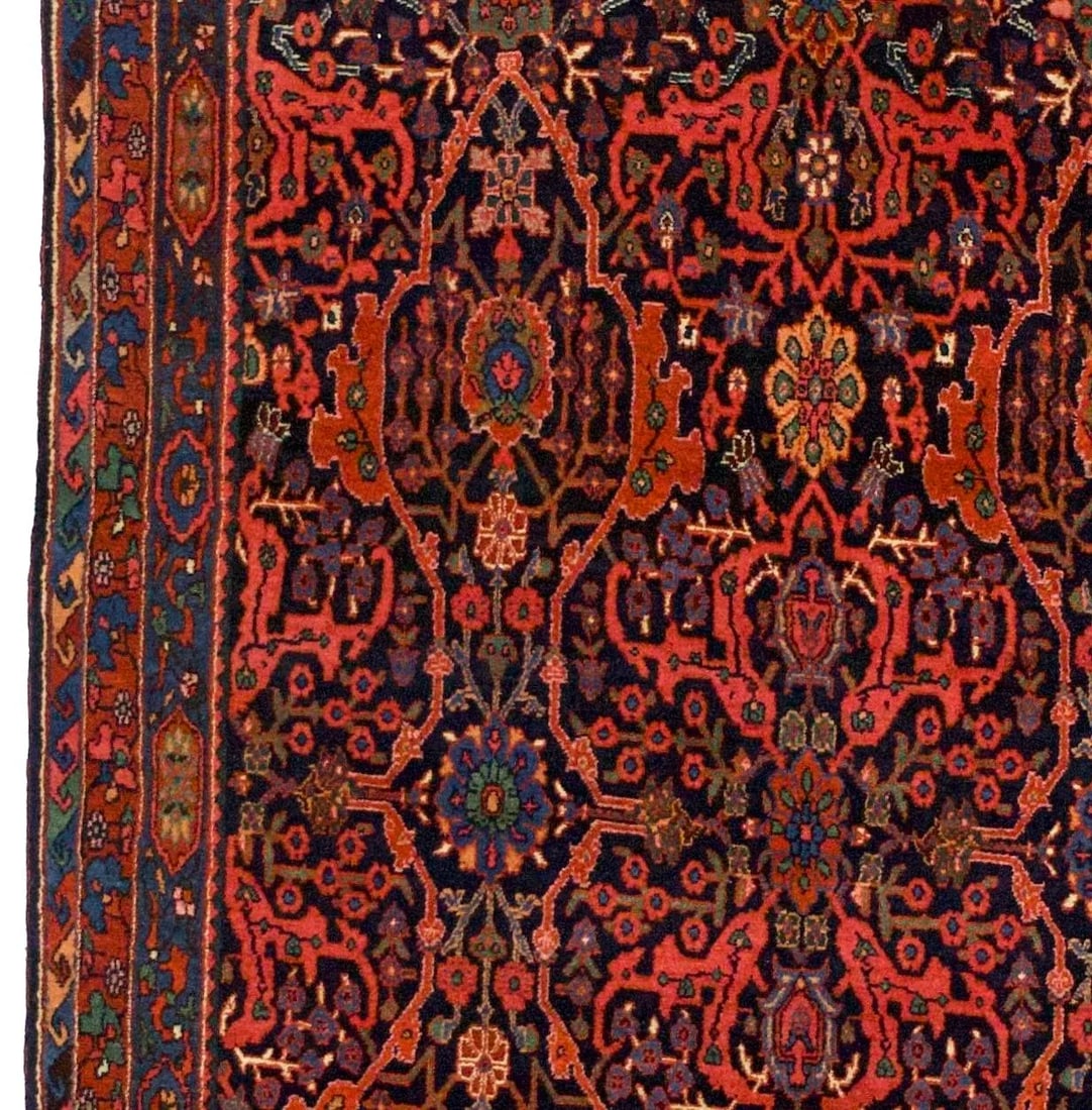 Bidjar Rug 5'4" X 13'7" - 3