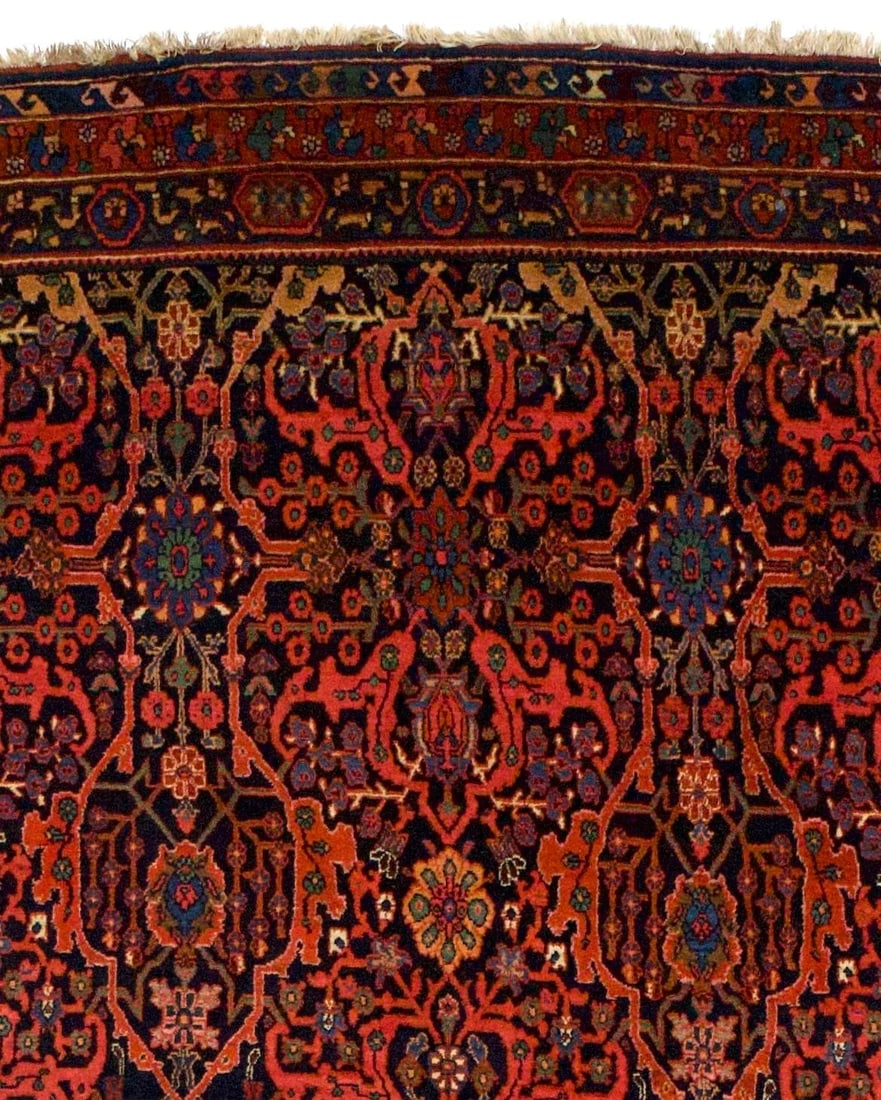 Bidjar Rug 5'4" X 13'7" - 4