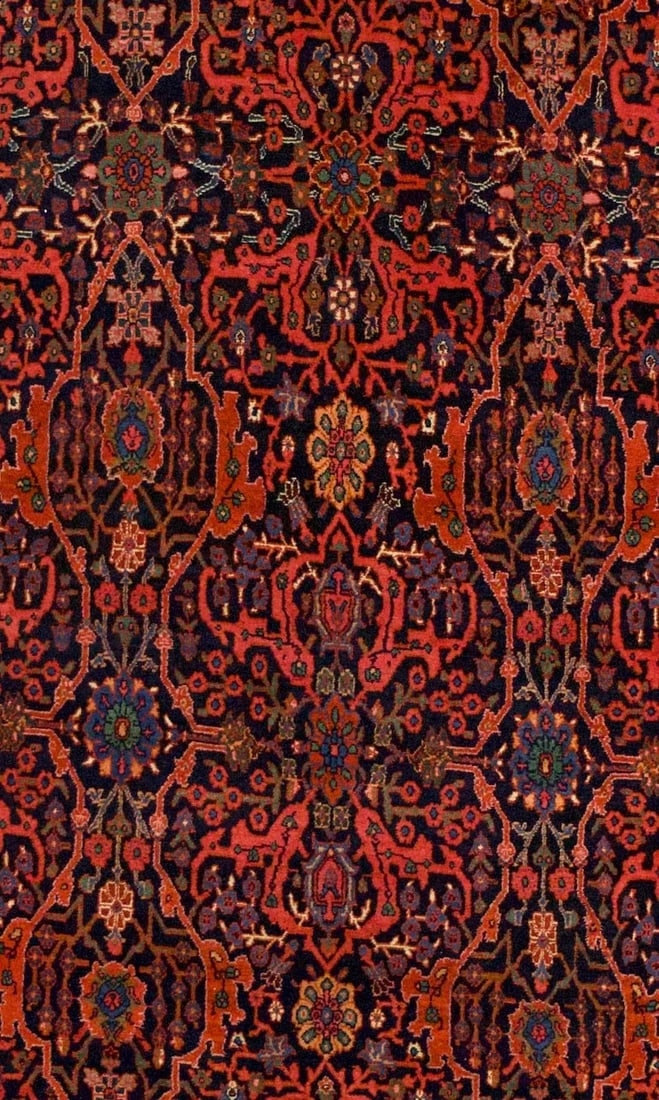 Bidjar Rug 5'4" X 13'7" - 5