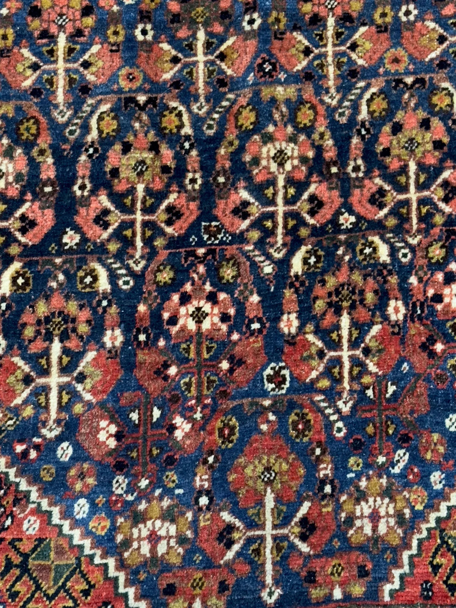 Antique Sw Persian Qashqai Rug 5'4" X 7'10" - 4