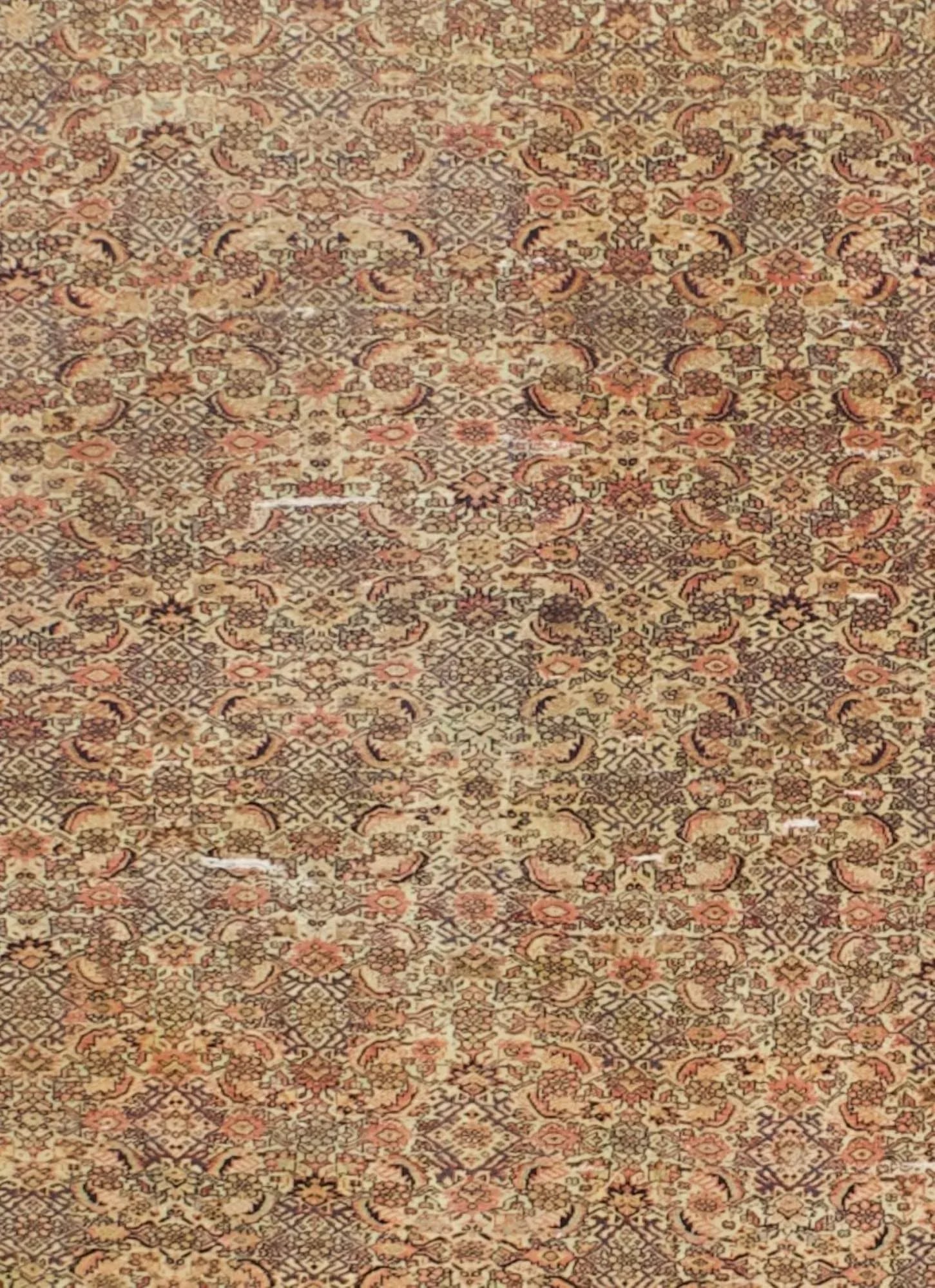 Antique Persian Farahan Rug 3'9" X 5'10" - 4