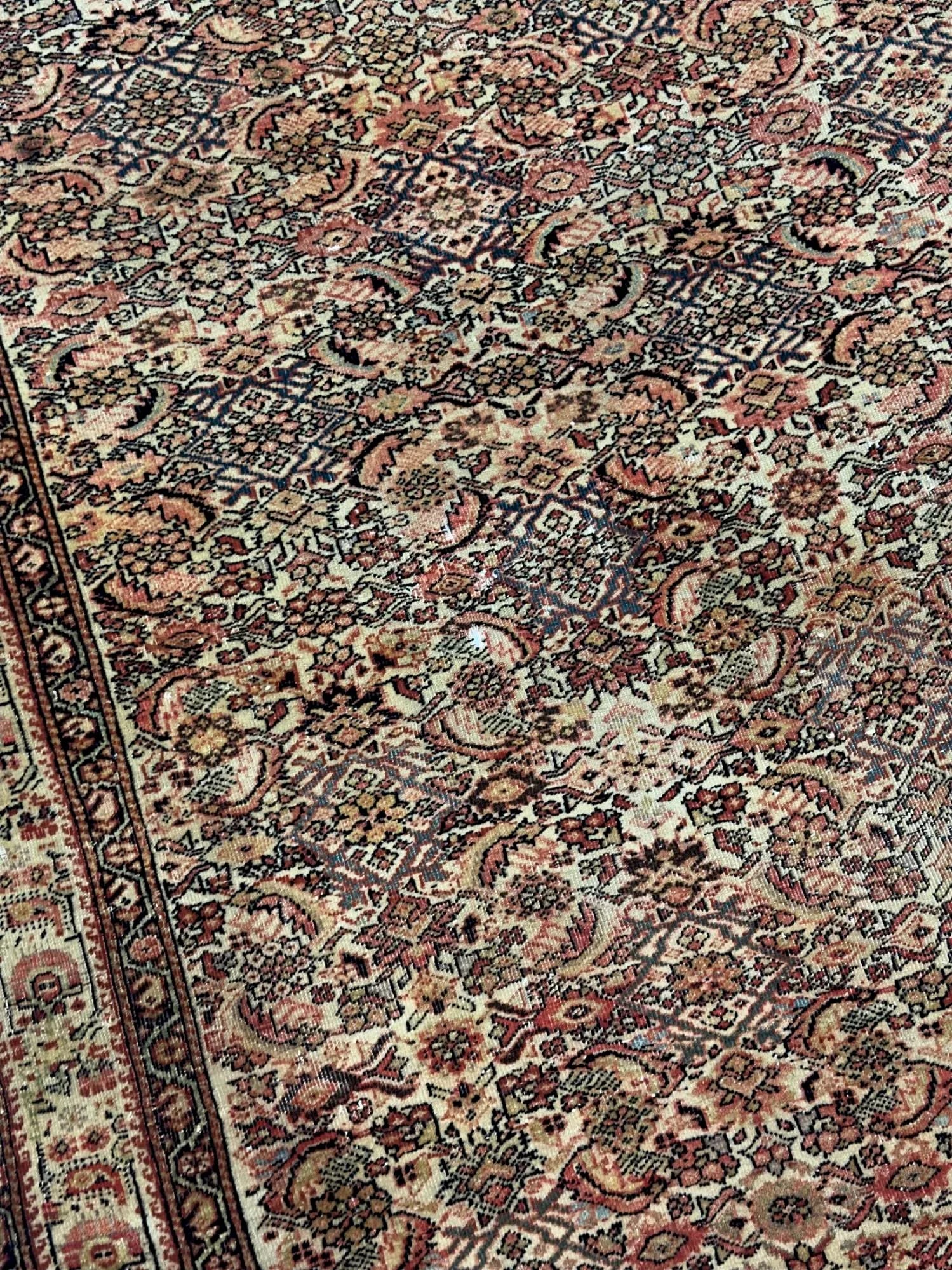 Antique Persian Farahan Rug 3'9" X 5'10" - 8