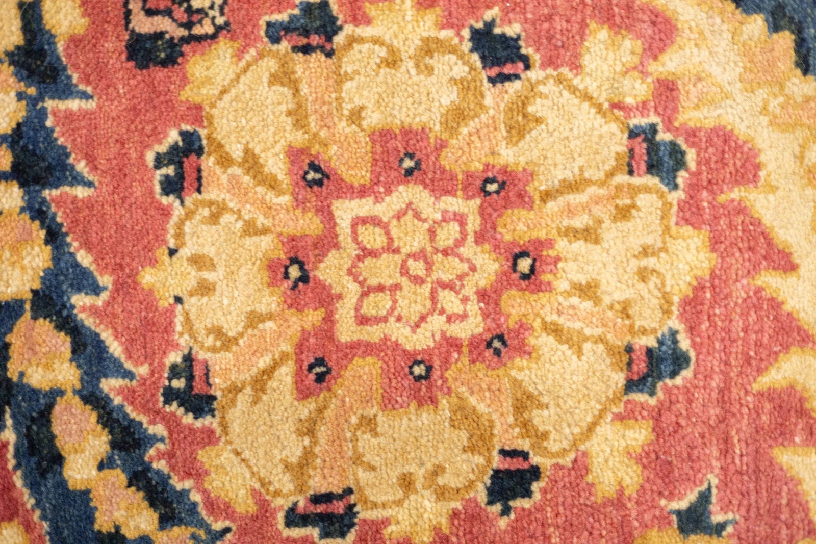 Antique Indian Agra Wool Rug 8'11" X 12'1" - 5