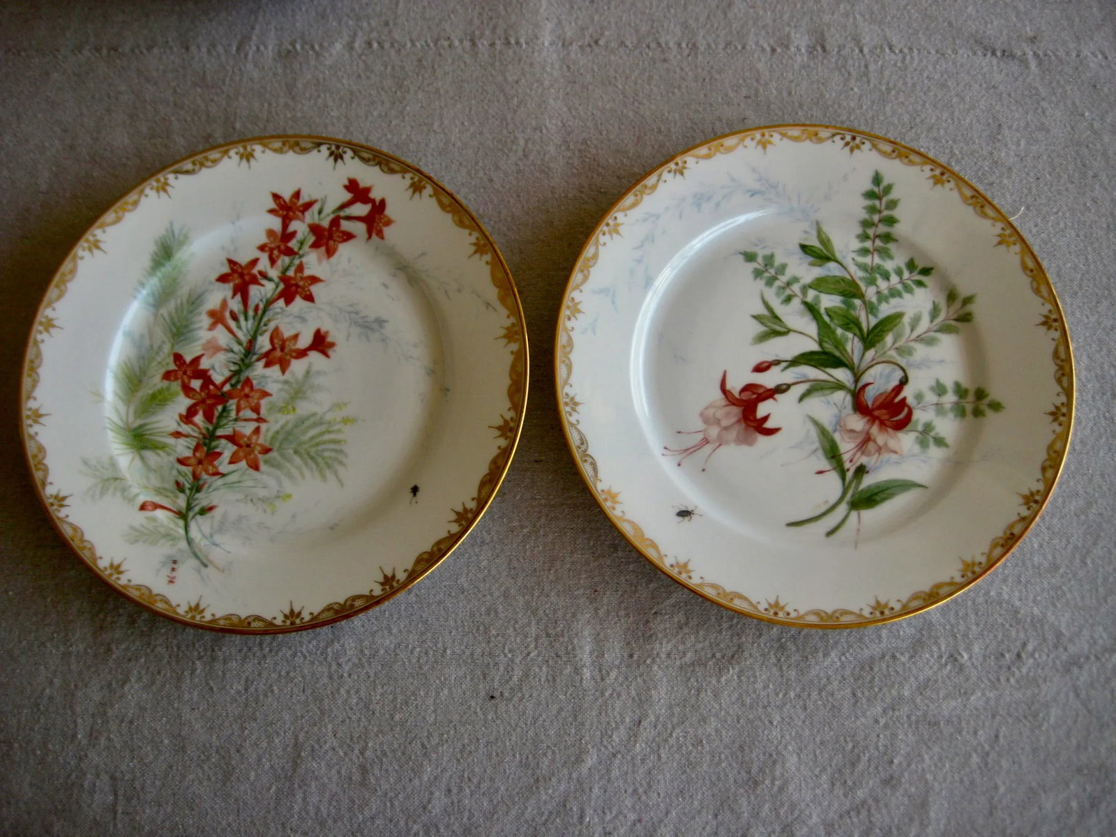 Set of 12 Sevres Botanical Plates, 1874 - 2