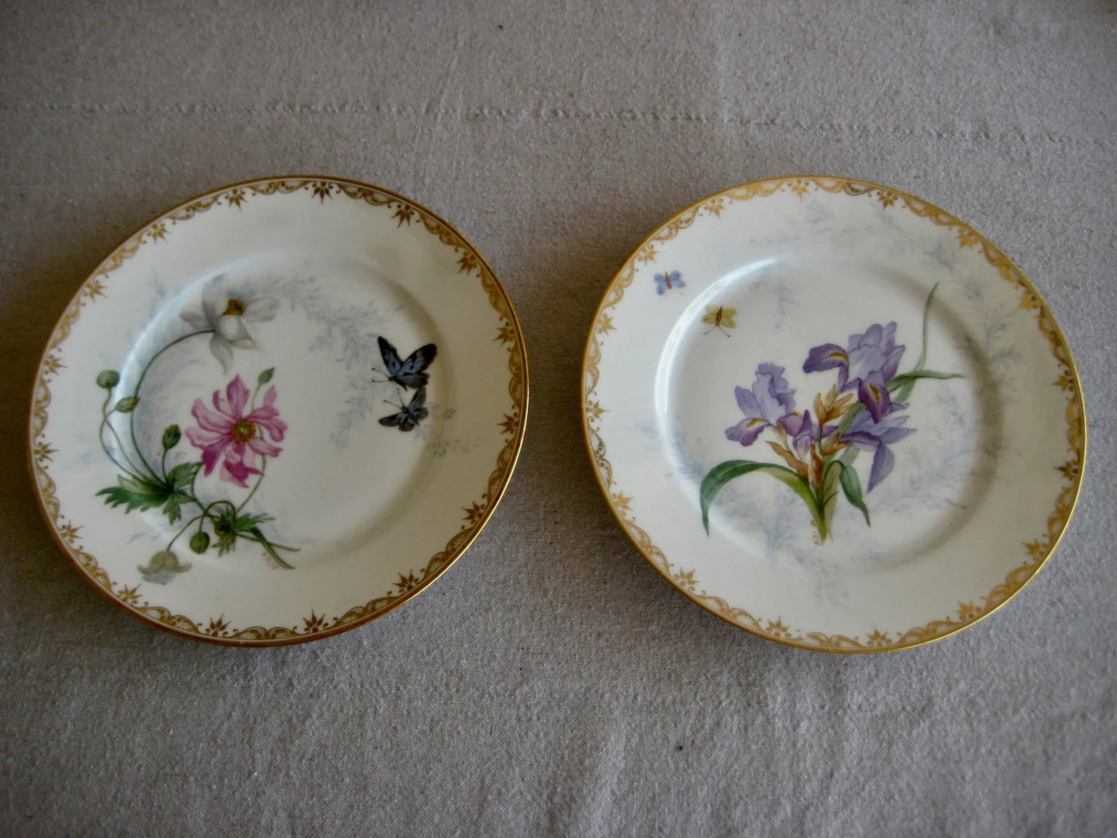 Set of 12 Sevres Botanical Plates, 1874 - 6