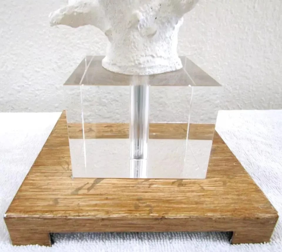 Pair of Uttermost Corallo White Coral Crystal Cube Wood Pattern Base Table Lamps - 3