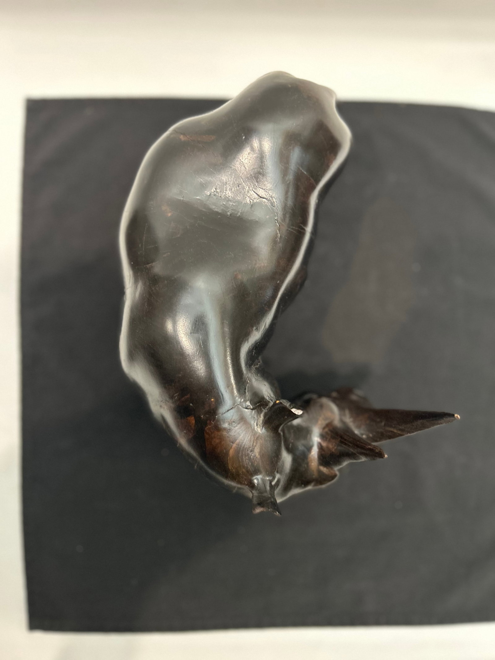 African Blackwood Rhinoceros Figure (Tanzania) - 6