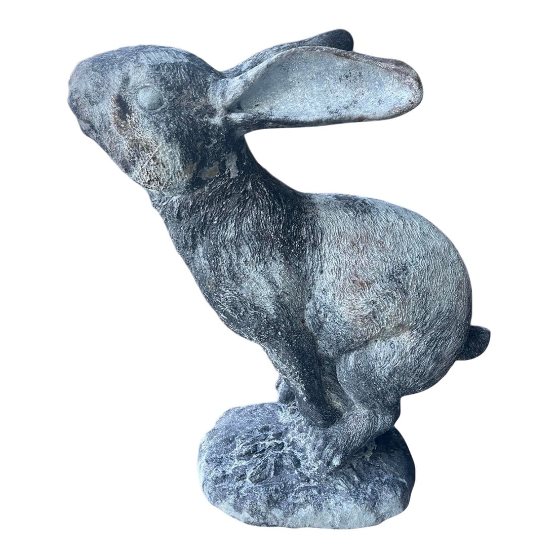 Cast Iron Jackrabbit Garden Statue: This striking cast iron garden sculpture captures a jackrabbit in a dynamic, alert pose. Featuring a heavily textured surface that mimics the appearance of fur, the piece is finished with a